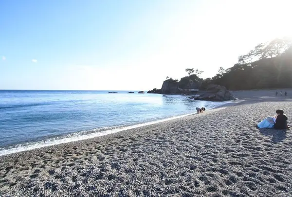 桂浜