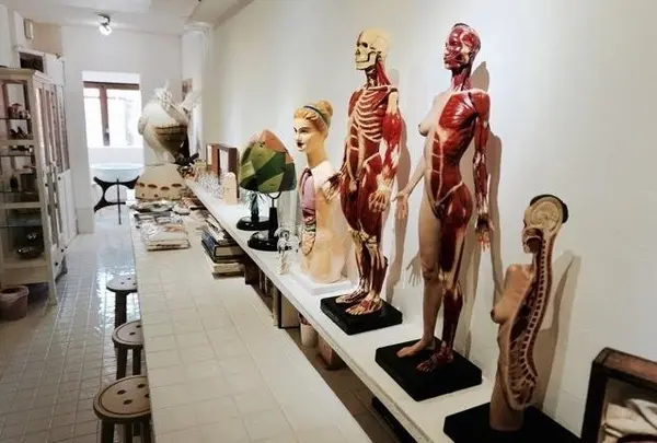 不思議博物館分室サナトリウム