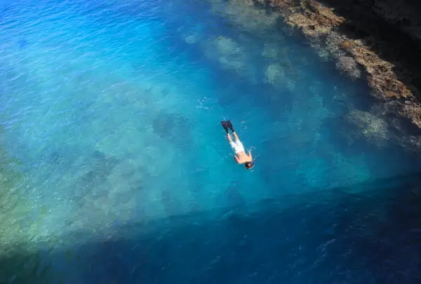 イムギャーマリンガーデン