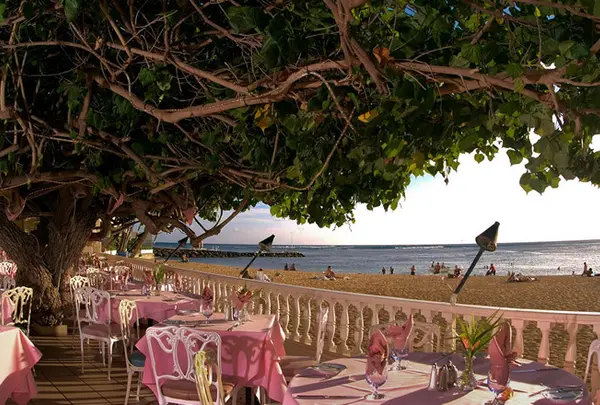 ハウ ツリー ラナイ