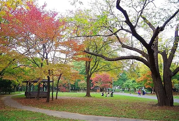 円山公園