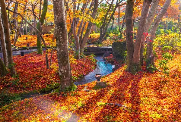 宝厳院