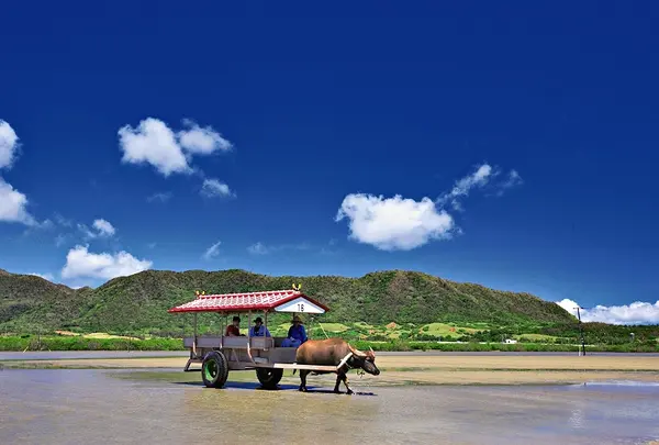 由布島ゆき水牛乗り場