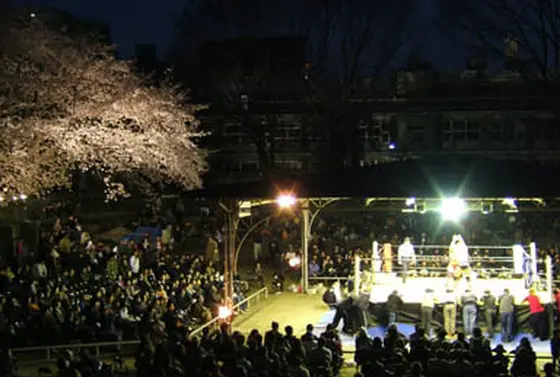 年に一度、桜の咲く頃…プロレスだって奉納されます！