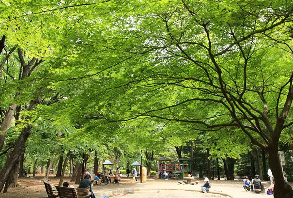 都立林試の森公園