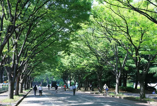 駒沢オリンピック公園