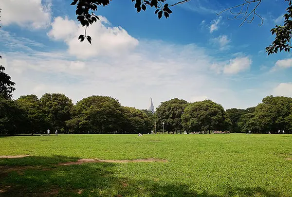 代々木公園