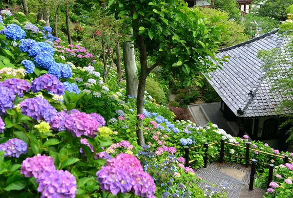 長谷寺