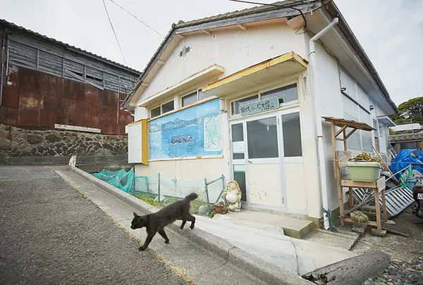 クロネコ堂