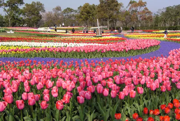 木曽三川公園管理センター