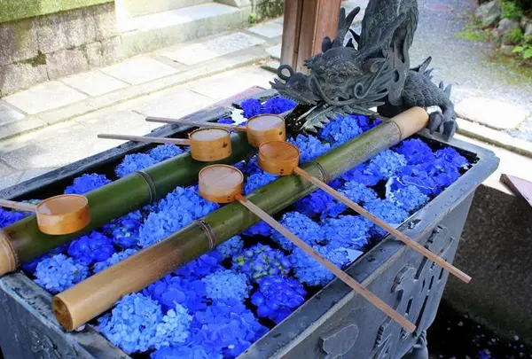 柳谷観音(楊谷寺）
