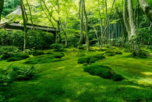 西芳寺