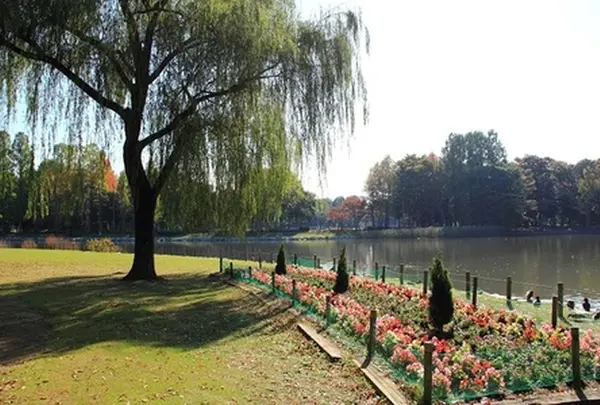 洞峰公園