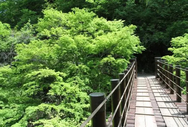 花貫渓谷