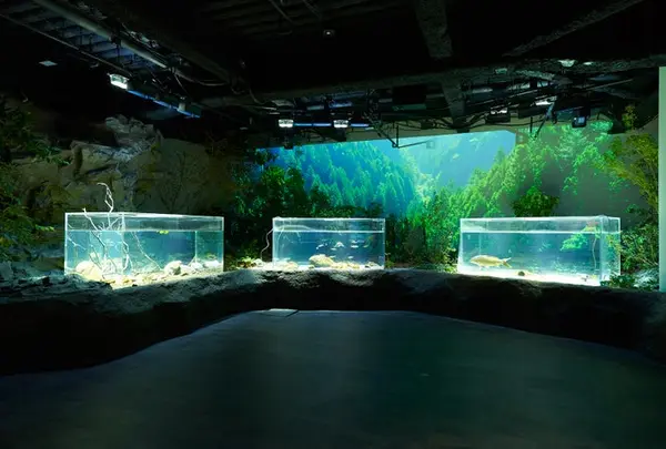 カワスイ川崎水族館