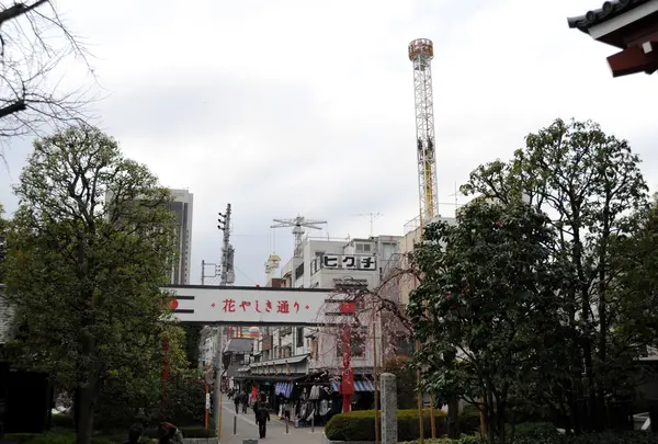 遊園地花やしきが見える