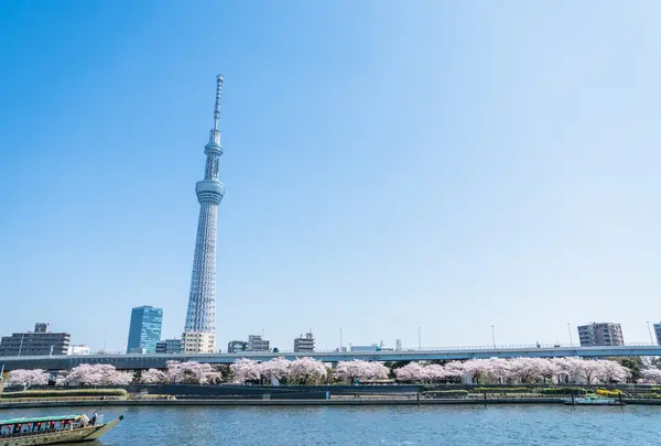 広々とした景色