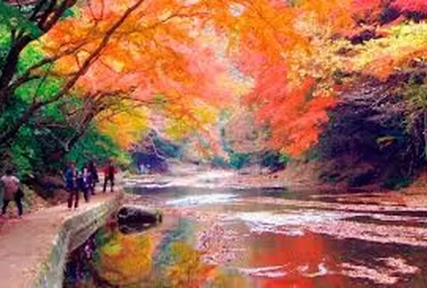 渓谷の紅葉は最高です！