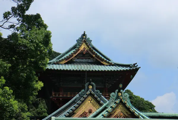 横から見るのも良い？！