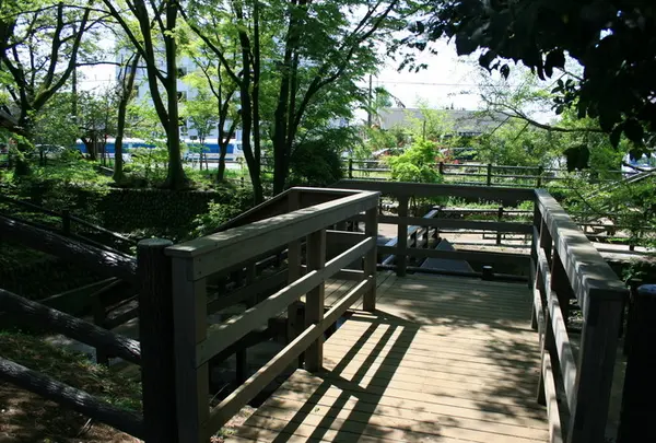 小平市の写真・動画_image_74473
