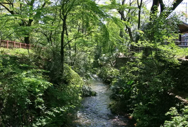 小平市の写真・動画_image_74474