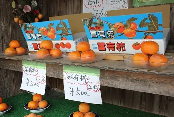 秋にはあちこちで柿が