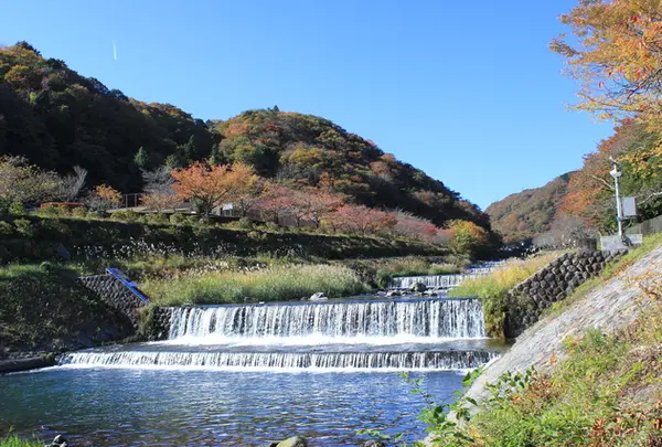 早川