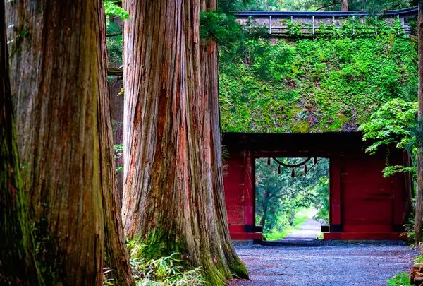 戸隠神社