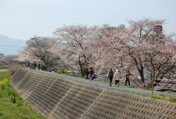 草津川緑地