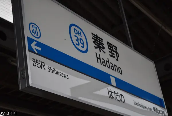 秦野駅〜登山道入口の写真・動画_image_135338