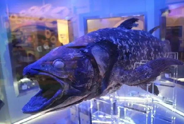 沼津港深海水族館