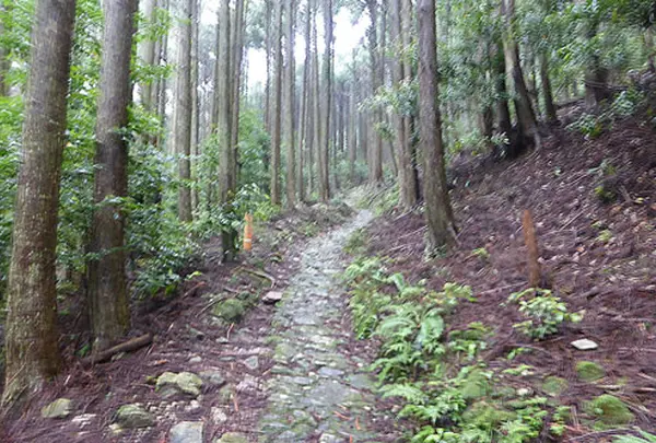 熊野古道 丸山千枚田・通り峠コース