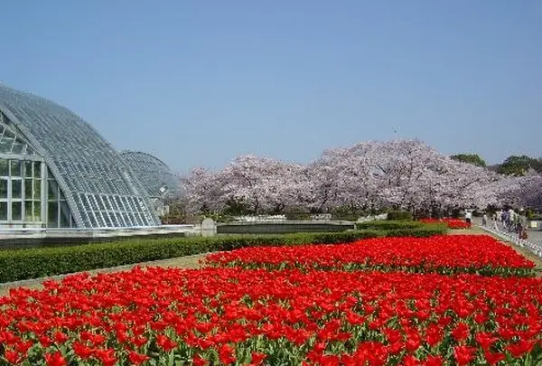 京都府立植物園