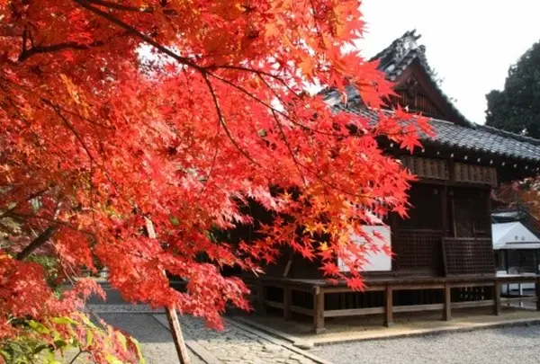 赤山禅院