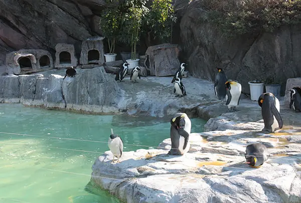 上野動物園