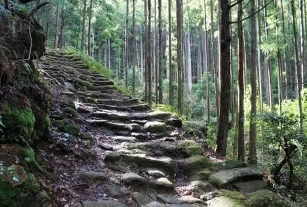 熊野古道　松本峠〜花の窟