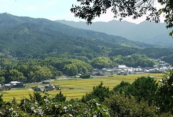 甘樫丘