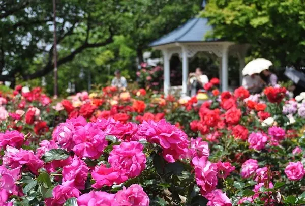 港の見える丘公園
