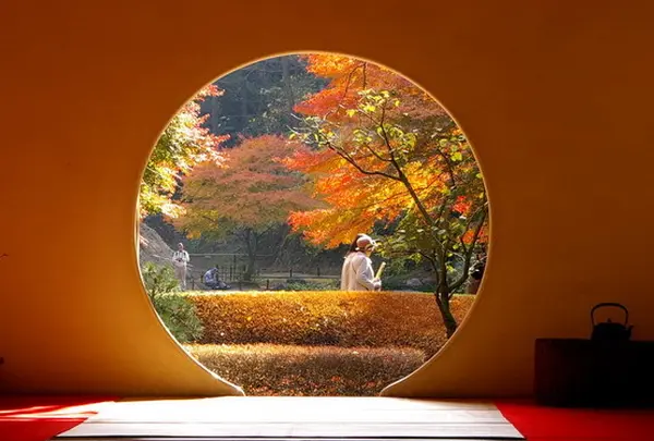 明月院（あじさい寺）