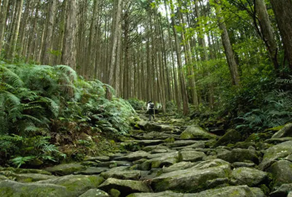 熊野古道 馬越峠