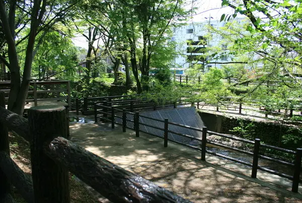 小平市の写真・動画_image_176298