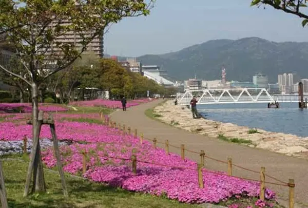 大津湖岸なぎさ公園