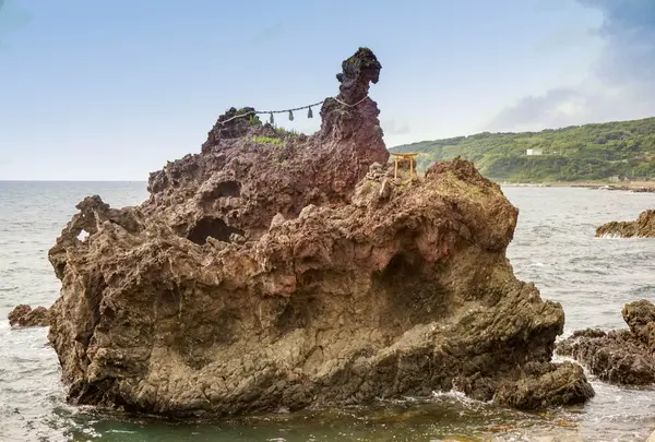 椿尾の写真・動画_image_184011