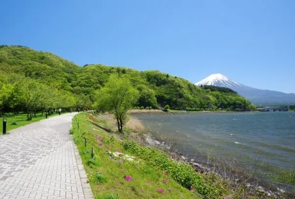 河口湖北岸ウォーキングトレイル