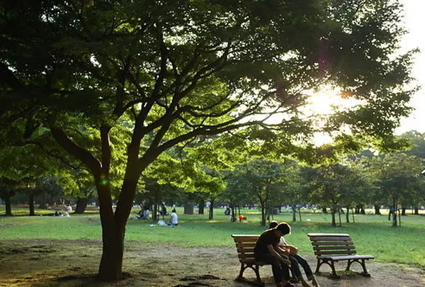 代々木公園