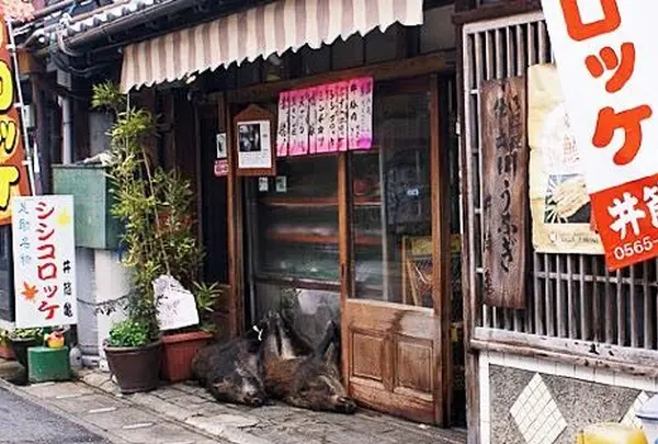 井筒亀