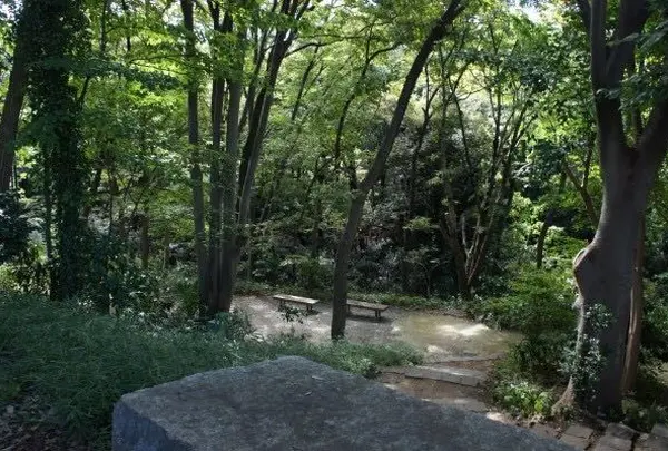等々力渓谷公園
