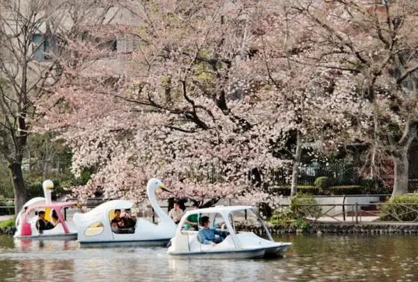 石神井公園