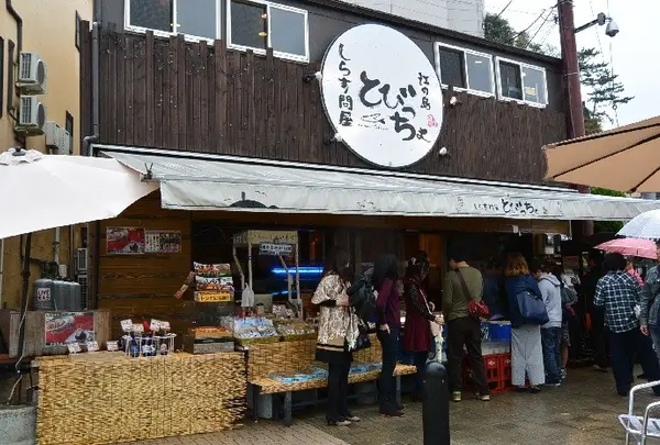 しらす問屋 とびっちょ 本店