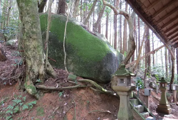 石野宮神社の写真・動画_image_251963